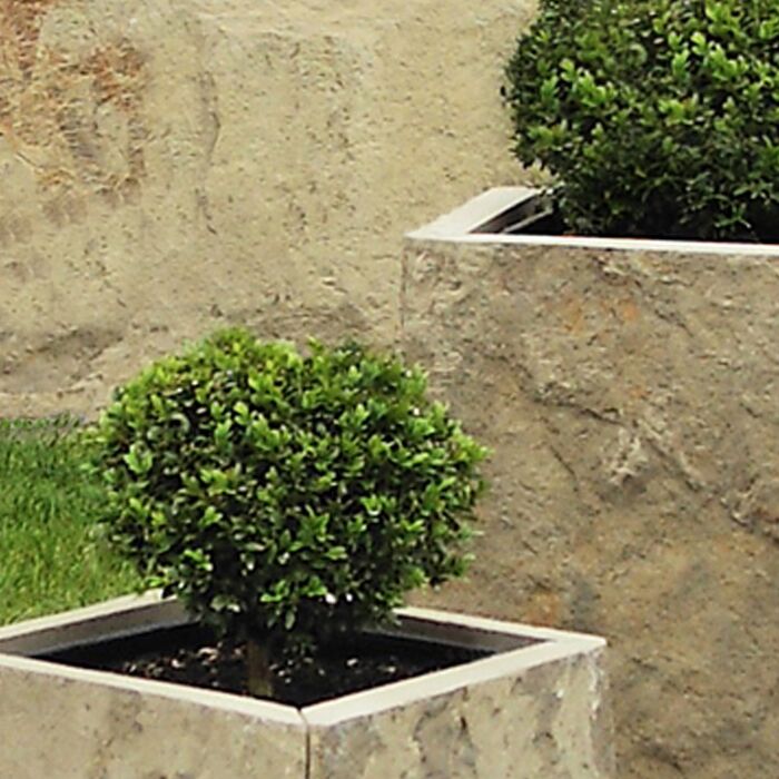 Schneider Schleerieth Gartengestaltung Sandstein